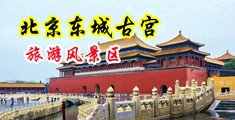 美女鸡巴操鸡巴中国北京-东城古宫旅游风景区